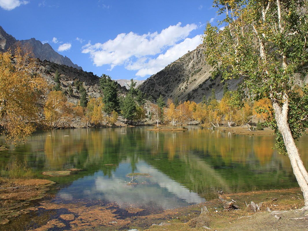 Hunza & Naltar Valley