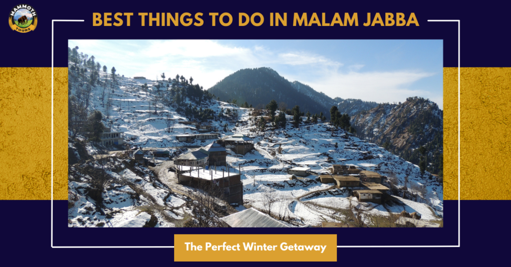 Best Things to Do in Malam Jabba