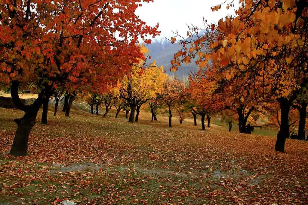 Hunza Valley Travel