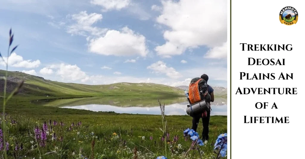 Trekking Deosai Plains