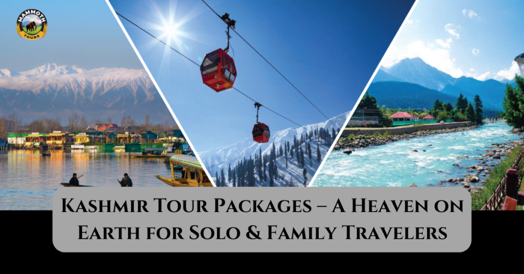 Kashmir Tour Packages