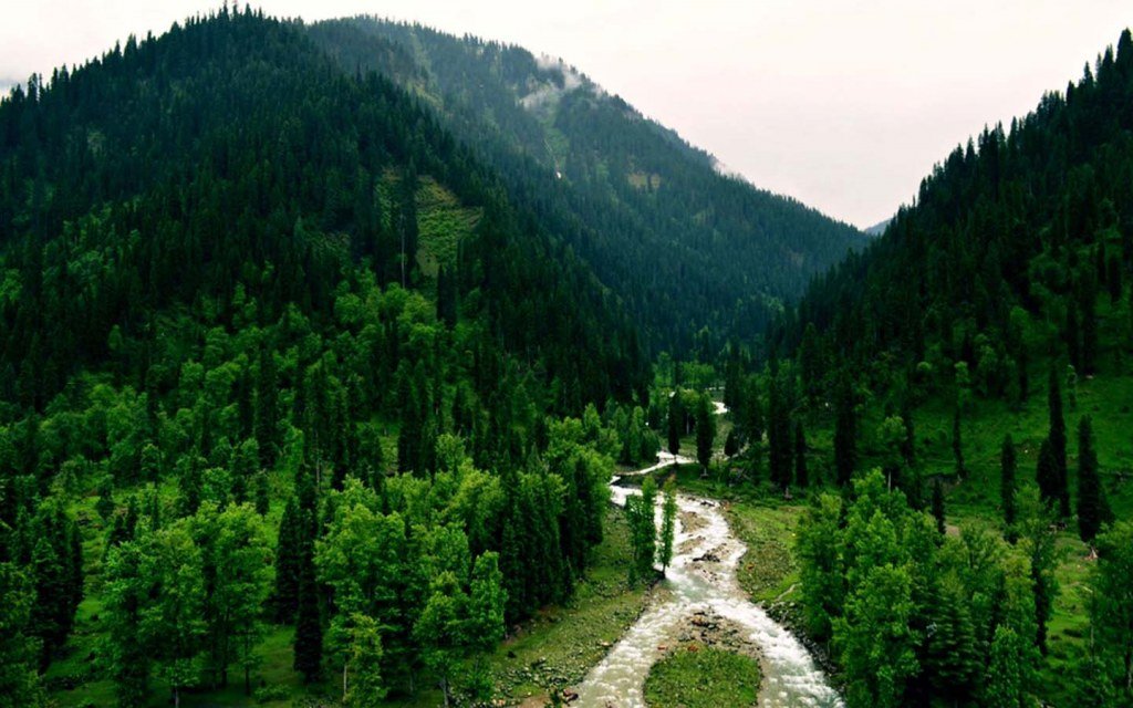 Nathia gali visit in Galiyat Region