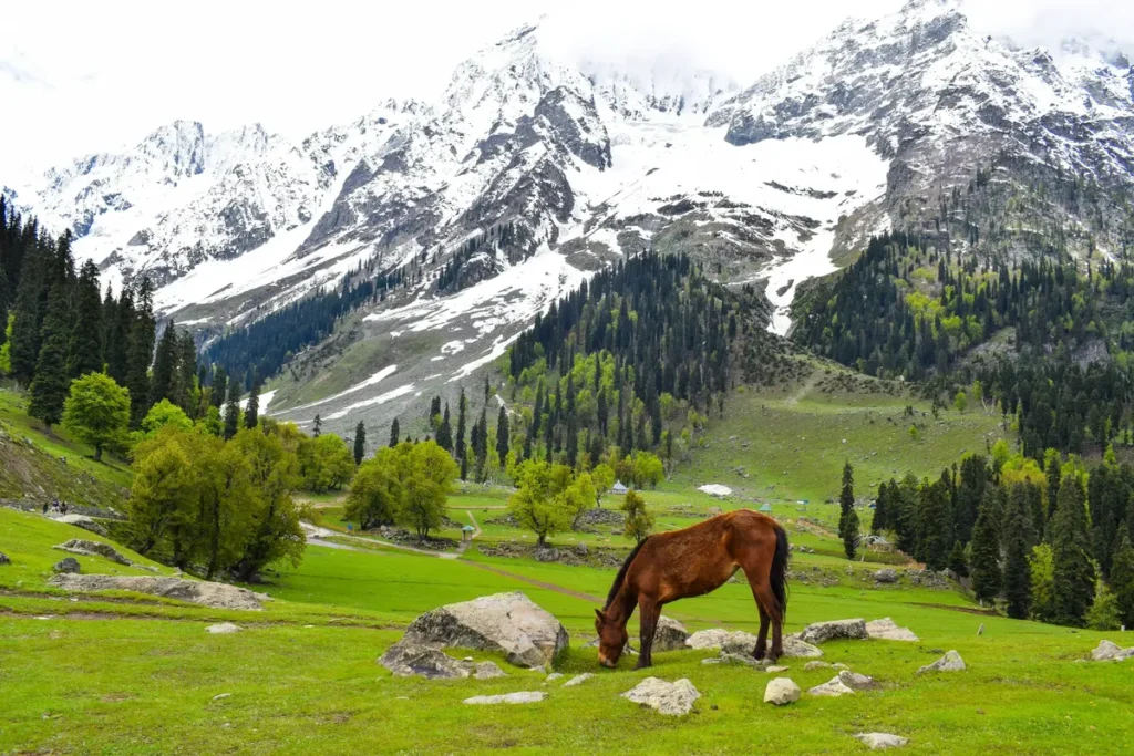 karachi to kashmir