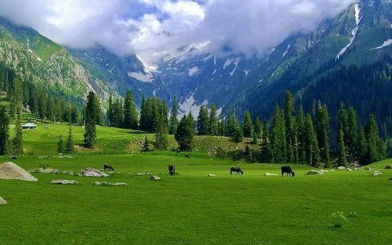 Kumrat Valley